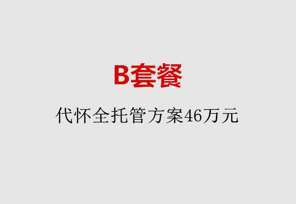 北京B套餐：代怀全托管方案46万元